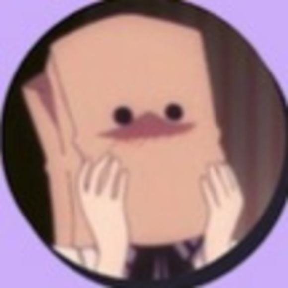 bag_h